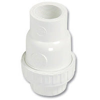 15mm PVC Spring Check Valve Female BSP Threaded