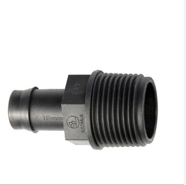 Director Poly x BSP Thread